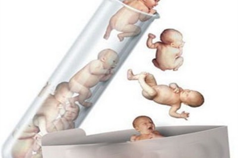 http://haerbin.dacou.net/post/194.html|哈尔滨新闻中心